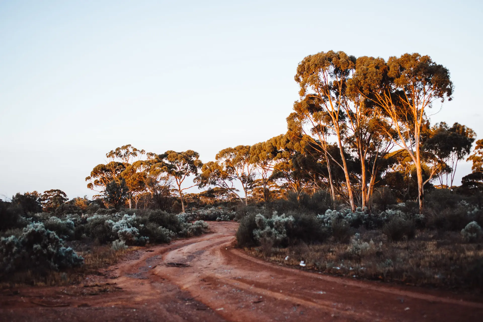 Red dirt Pilbara road at golden hour