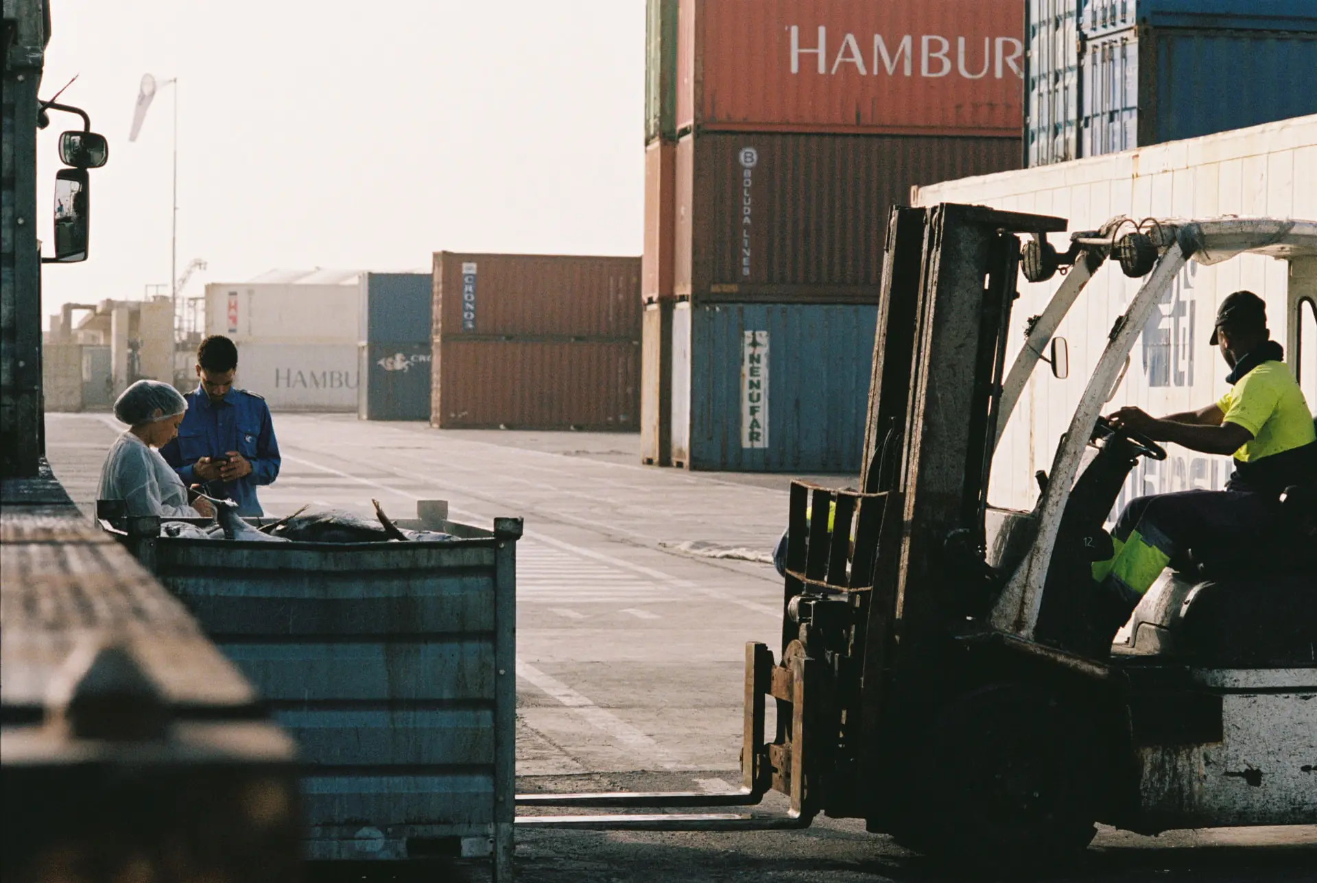 Freight crew and forklift working containers at a cargo terminal